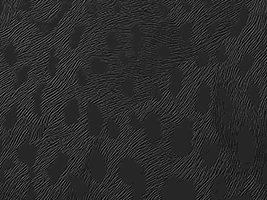 Envelopamento Savana Preto
