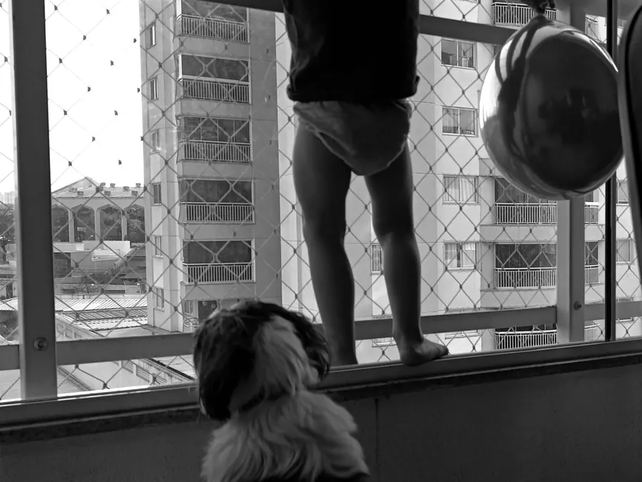 Rede de proteção em varandas com pets